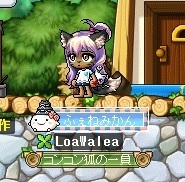 ふぇねみかん.jpg